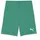 Puma Teamgoal Jr Strick Shorts Sport Green-Puma White 152 EU