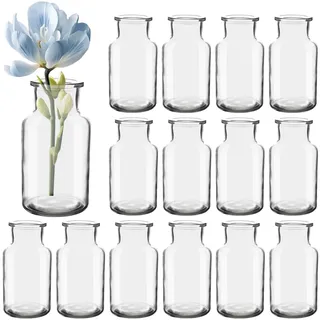 HYCKEe Mini Glasvasen Set von 15, 250 ml kleine Flaschen, Blumenvasen, Tischvasen, Glasvasen, dekorative Flaschen, Glasflaschen Bulk, Glasflaschen für Tischdekoration, Mittelpunkt, Hochzeit