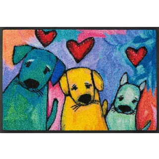 wash+dry FUßMATTE , Multicolor , Textil , Hund , rechteckig , 50x75 cm , Oeko-Tex® Standard 100 , rutschfest , Teppiche und Böden, Schmutzfangmatten, Fußmatten
