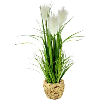 Kunstpflanze I.GE.A. "Pampasgras", weiß, B:22cm H:80cm L:22cm, Kunstpflanzen, Kunstpflanze, Mit Übertopf, künstliches Pampas Gras