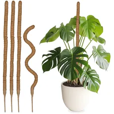 Relaxdays Kokosstäbe 5er Set, biegsame Pflanzenstäbe, für Monstera, Efeutute und mehr, 90 cm lang, Kokosfaser, Natur