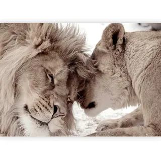 artgeist Fototapete , Weiß, Beige , Textil , Tier , 200x140 cm , Ce , Tapeten & Wandverkleidungen, Fototapeten