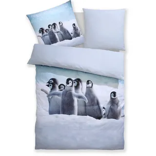 my home Bettwäsche »Lyki« 2 tlg. ab Größe 135x200 cm, 100% Polyester, Katze, Pferd, Löwe, Pinguin, bunt