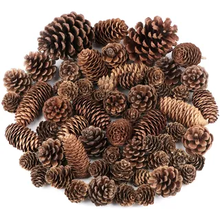 Jangostor Kiefernzapfen Dekorationen - 60 Stück, Natürliche Kiefernzapfen in Groß, Mittel und Mini Größe für Weihnachtsbaum, Handwerk, Geschenke, Thanksgiving, Xmas, Home Decor