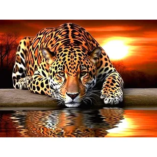 Bimkole DIY 5D Diamond Painting Zubehör Leopard Und Tiger, Tier Sonnenuntergang Diamant Malerei Kit Voll Runde Bohrer Malen nach Zahlen Malerei Stickerei Kreuzstich Diamond Dekoration 30X40 cm