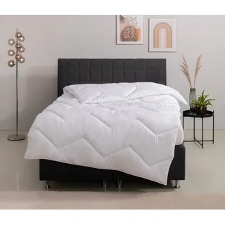 OTTO home Microfaserbettdecke "Sartes, Bettdecke 135x200 cm, 155x220 cm" normal Füllung Polyester Bezug Polyester 1 Stk. tlg. Bettdecken, Sommer, Decke, für Allergiker geeignet, weiß