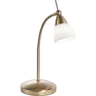 Paul Neuhaus LED-Tischleuchte Pino Metall Gold Messing