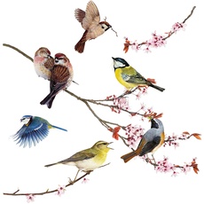 Bild Birds 31 x 31 cm