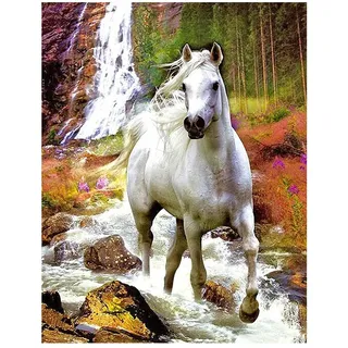 DCIDBEI Diamant Painting Bilder Erwachsene Pferde 40x50cm Diamond Painting Eckige Steine Pferd Square Diamond Painting Wasserfall Malen nach Zahlen Malerei Stickerei Kreuzstich Landschaft