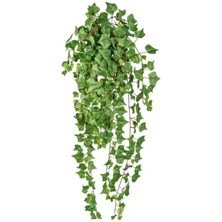 Creativ green »Englische Efeuranke« hängender Efeu, ohne Topf,