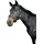 Pony