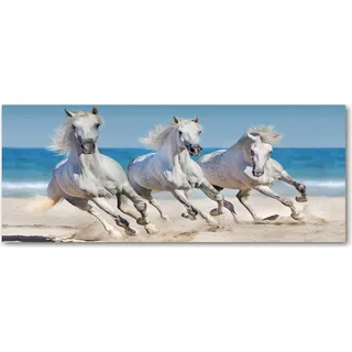 Tulup® Küchenrückwand Spritzschutz aus Glas -125x50 -Spritzschutz auf gehärtetes Glas Deko Tiere Weiße Pferde Strand - Beige