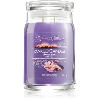 Yankee Candle Summit Stargazing Duftkerze 567 g rosa