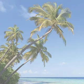 Sigel Schreibunterlage Design HO470 595x410mm Kalendarium 30Blatt