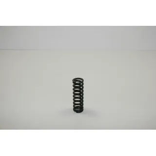 Holzstar Feder BTS 250 22x3,6x68