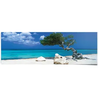 Poster REINDERS "Tom Mackie divi divi Baum", blau (farbe bild(er): blau), B:158cm H:53cm, Papier, Bilder, Poster