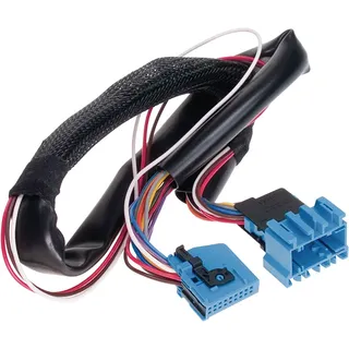  VIM - Video in Motion / TV während der Fahrt* 