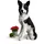 Collie 68 Weiß/Schwarz