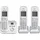 KX-TG6823GS silber
