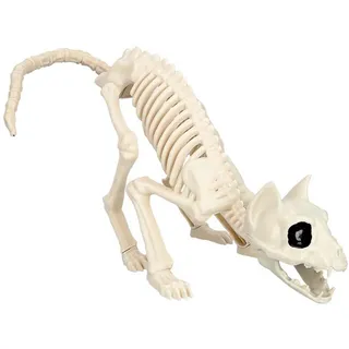 Boland - Dekoration Skelett Katze, 50 x 15 x 17 cm,