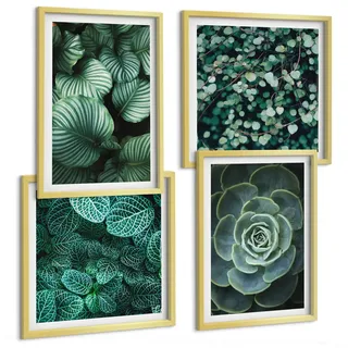 Tulup Bilder SET 4er Set - 50x50 cm & 40x60 cm Goldrahmen - Grüne, saftige Blätter , Goldfarben , Kunststoff , Rechteckig , 50x50 cm , einfache und schnelle Anbringung , Bilder & Rahmen, Bilder