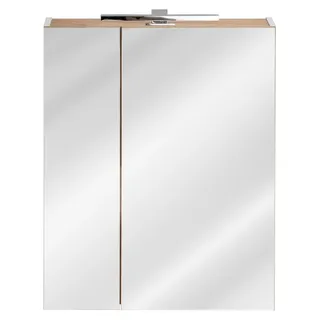 Spiegelschrank Badezimmerschrank Badspiegel 60x16x75 cm Schränke Bad Einrichtung - Weiß