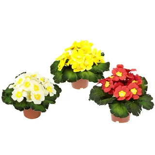 Künstlicher Primelbusch mit Blätter im Topf Primeln Pflanze Kunstblume Seidenblume Topfpflanze Zimmerpflanze Blume Primula Schlüsselblumen Kunstpflanzen Frühlingsblüher Frühling Frühjahr Deko