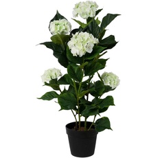 Bild Kunstpflanze »Hortensie«, im Kunststofftopf, weiß