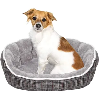 Scotland Betttier, Hell grau, 48x42x16cm