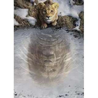 Komar Wandbild- Disney Mufasa The Lion King - Größe 50 x 70 cm - Poster, Kinderzimmer, Dekoration - gerollt ohne Rahmen