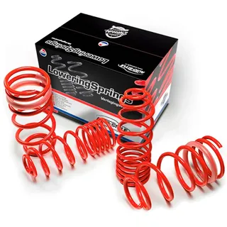 AUTO-STYLE Tieferlegungsfedern kompatibel mit Fiat Grande Punto/Evo/Punto 1.2/1.4/0.9 Twin Air/1.4 Twin Air 2005-07/2019 30mm