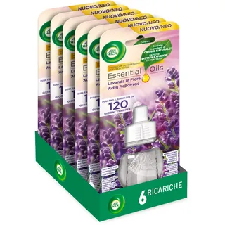 Airwick Nachfüller für elektrischen Diffusor für ätherische Öle, 6 Nachfüllpackungen für Raumduft Lavendel, elektrischer Raumduft