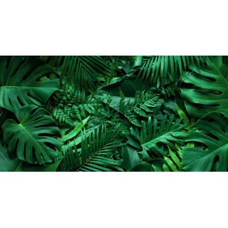 Magnetmatte für Heizkörperverkleidung Monstera Blätter 60x100cm