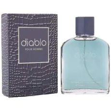 Diablo Pour Homme (Herren 100ml EDT) Fine Perfumery (0124) (FP6012) (21C)