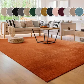 Teppich PACO HOME "Cadiz 630", rosa (kupfer), B:300cm H:14mm L:400cm, Polyester, Teppiche, Teppich, Uni-Farben, besonders weich, waschbar, auch als Läufer erhältlich