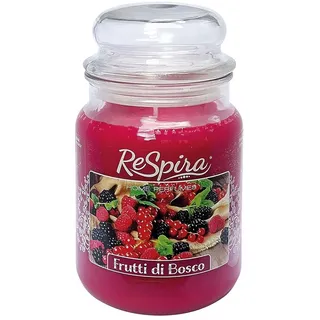 Duftkerze im großen Glas mit Deckel, Baumwolldocht, Brenndauer bis zu 130 Stunden, Made in Italy (1 Stück, Waldfrüchte)