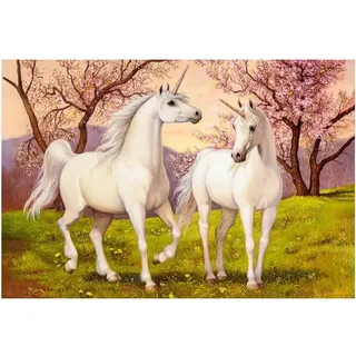 CASTORLAND Puzzle Einhorn Liebe 1000 Teile