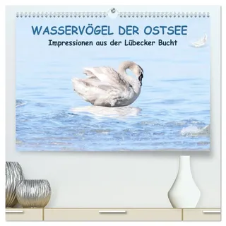Wasservögel der Ostsee - Impressionen aus der Lübecker Bucht (hochwertiger Premium Wandkalender 2026 DIN A2 quer), Kunstdruck in Hochglanz: Maritime Aufnahmen von Wasservögeln. (CALVENDO Tiere)