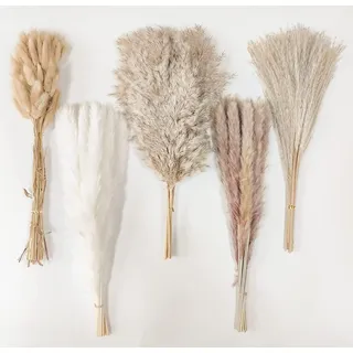 Comtelek Pampasgras Getrocknet 115 Stück, Natürliche Trockenblumen für Boho Deko Wohnzimmer, Blumen Arrangements, Tischdekoration Hochzeit