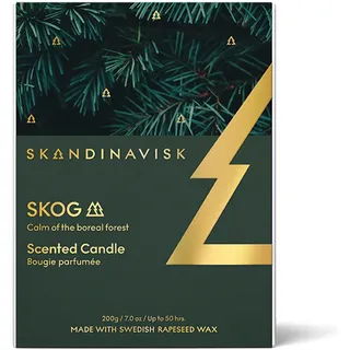 Skandinavisk SKOG Duftkerze Gold Edition. Duftnoten: Kiefernnadeln und Tannenzapfen, Birkensaft und Maiglöckchen. 200 g.