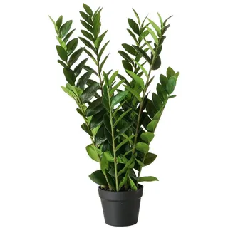 Boltze Home Kunstpflanze Zamioculcas 76 cm , Grün , Kunststoff , 76 cm , Dekoration, Blumen & Blumentöpfe, Kunstpflanzen