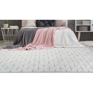 Teppich CALO-DELUXE "Jardan-1000" Gr. 3, grau (anthrazit, weiß), B:120cm H:20mm L:160cm, Kunstfaser, Teppiche, Teppich, besonders weich durch Microfaser, Wohnzimmer