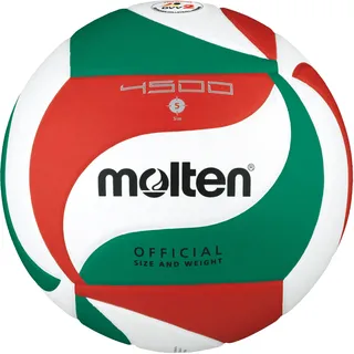 Molten Volleyball