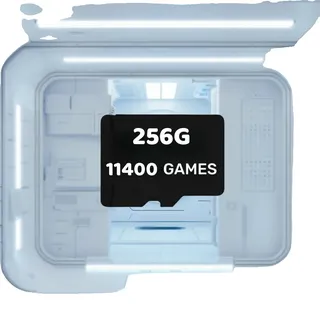 TF-Karte, 256G Kapazität, vorinstallierte Retro-Spiele, 256G
