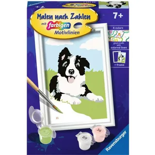 Ravensburger Malen nach Zahlen Border Collie Welpe (23759)