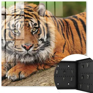 Tulup Schlüsselbox Schwarz 30x30 cm- Türöffnung nach rechts - Tiger ruht , Orange , Metall , Zeichen/Symbole/Nummern/Buchstaben , Rechteckig , 30x30x5 cm , Garderobe, Schlüsselkästen & Schlüsselboards