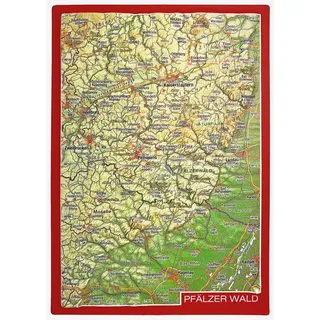 Georelief Reliefpostkarte Pfälzer Wald