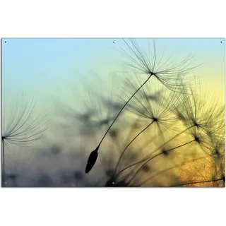 Wallario Outdoor-Poster für Garten oder Balkon, Motiv Samen der Pusteblume in Nahaufnahme vor blauem Himmel, in ca. 61 x 91,50 cm - Gelb