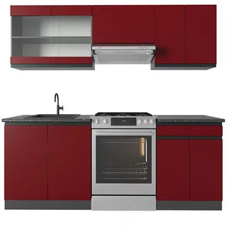 Vicco Küchenzeile R-Line 200 cm rot