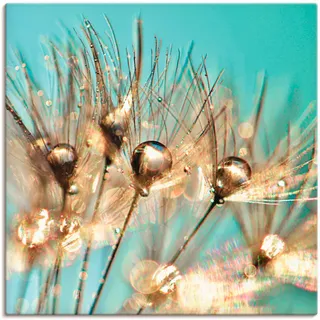 Artland Leinwandbild "Pusteblume Goldener Tau" Blumen 1 Stk. tlg. auf Holzrahmen gespannt, farbe bild(er): blau